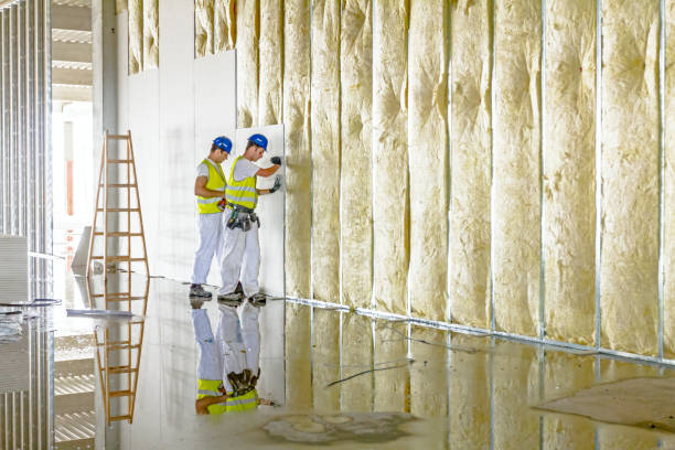 Best Crawl Space Insulation  in Wilmerding, PA